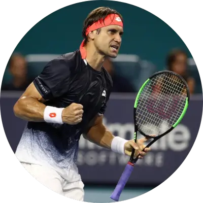 David Ferrer